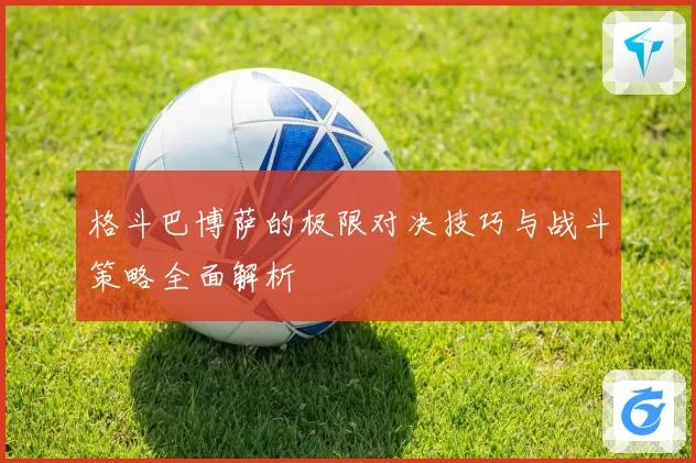 格斗巴博萨的极限对决技巧与战斗策略全面解析