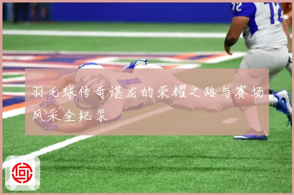 羽毛球传奇谌龙的荣耀之路与赛场风采全纪录