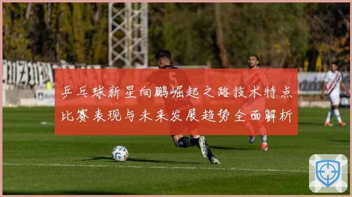 乒乓球新星向鹏崛起之路技术特点比赛表现与未来发展趋势全面解析