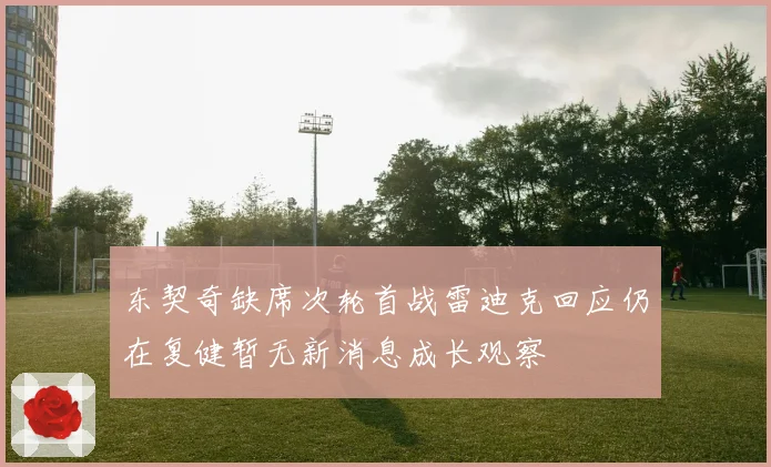 东契奇缺席次轮首战雷迪克回应仍在复健暂无新消息成长观察