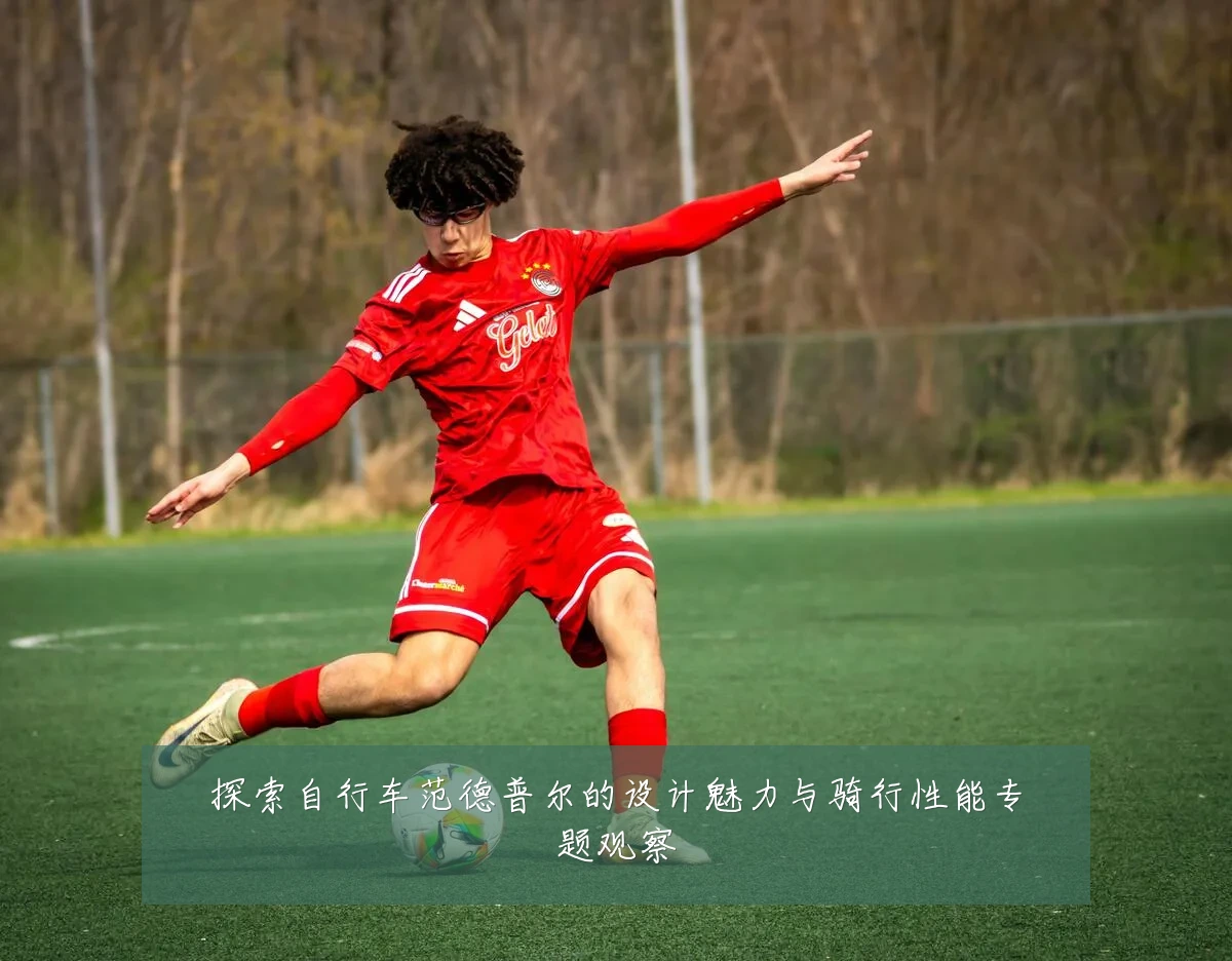 探索自行车范德普尔的设计魅力与骑行性能专题观察